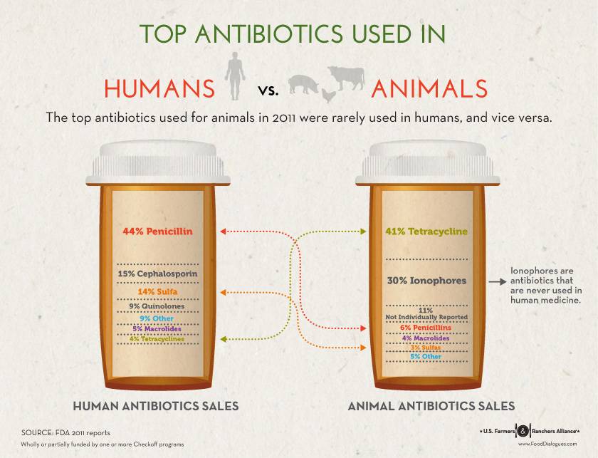 Top Antibiotics Used In Humans vs. Animals - Sanderson Farms