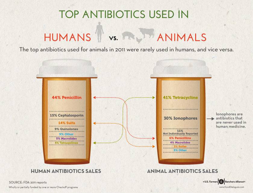 Top antibiotics used in humans versus animals