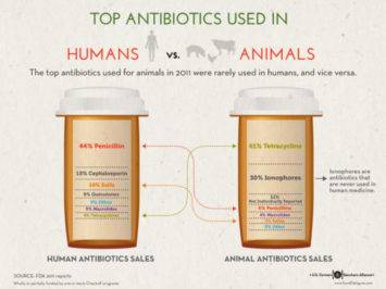 Top antibiotics used in humans versus animals