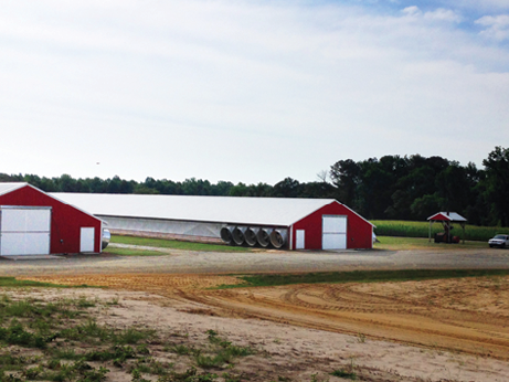 Red chicken houses