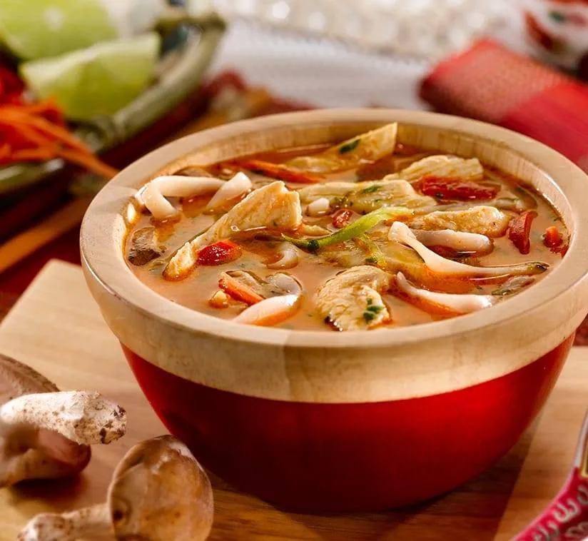 Asian Chicken Noodle Soup