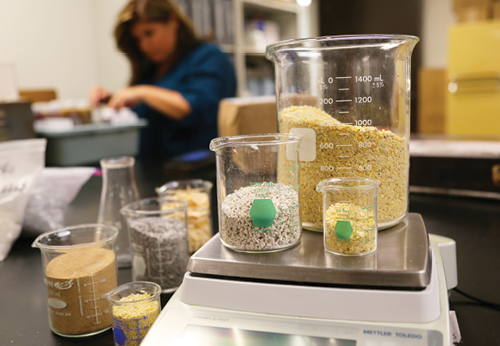 Grains being measured in a laboratory