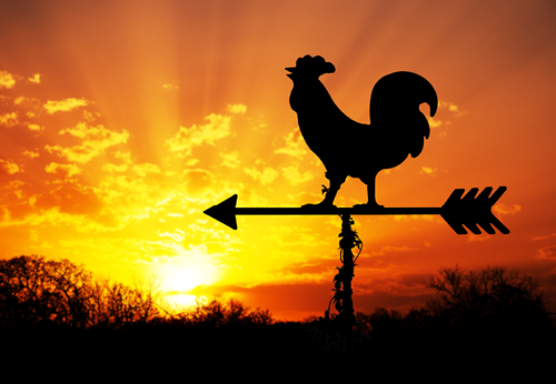 All American Chicken Compass
