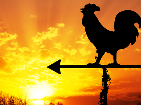 All American Chicken Compass