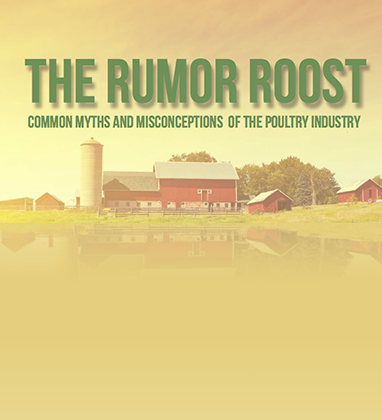 Infographic - The Rumor Roost