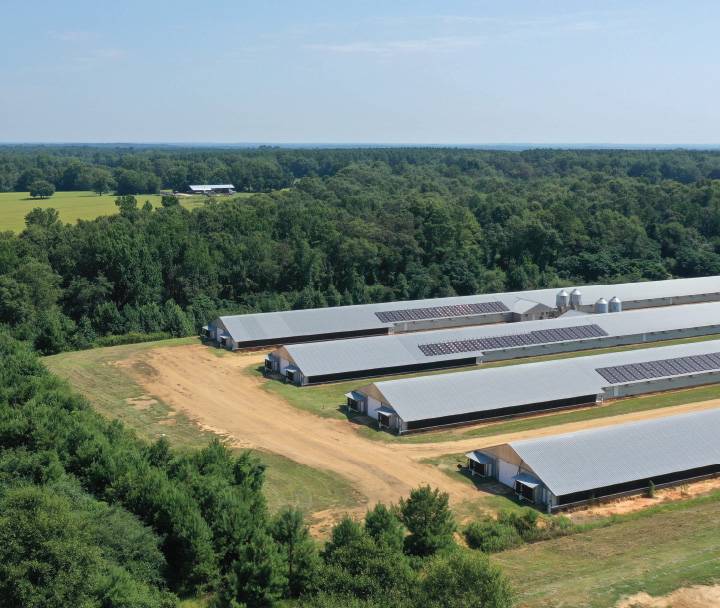 Sanderson Farms